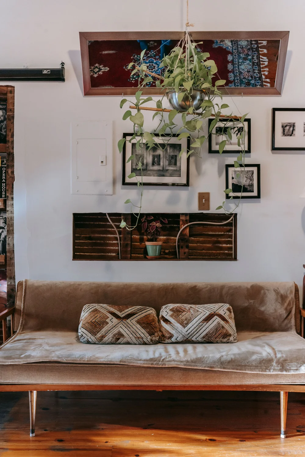 A sunlit sofa with textured cushions and trailing indoor plants